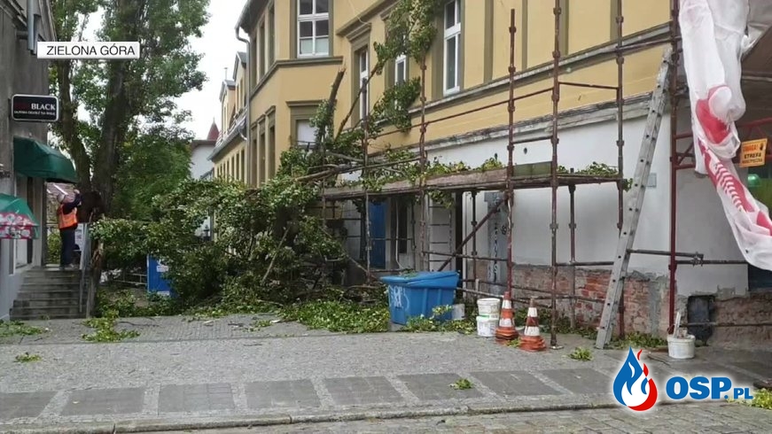 Tragiczny bilans burz i wichur nad Polską. Jedna osoba nie żyje, siedem rannych. OSP Ochotnicza Straż Pożarna