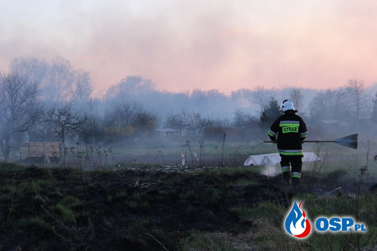 Pożar traw w Cerkwicy 2013r. OSP Ochotnicza Straż Pożarna