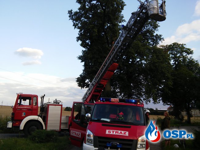 Niebezpiecznie zwisający konar Rynkówka OSP Ochotnicza Straż Pożarna