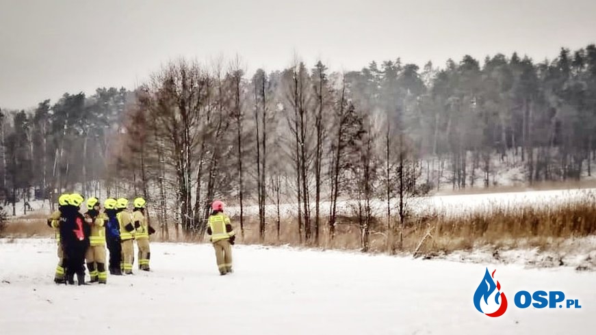 Strażacy i ratownicy MOPR uratowali łosie, pod którymi załamał się lód. Wigilijna akcja na jeziorze Kisajno. OSP Ochotnicza Straż Pożarna