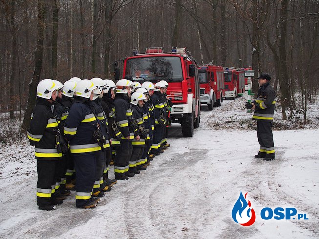 Ćwiczenia Kompanii Odwodowej. OSP Ochotnicza Straż Pożarna