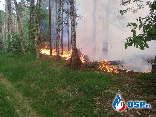 Zdarzenia ratowniczo gaśnicze Maj 2018 OSP Ochotnicza Straż Pożarna