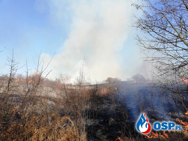 Duży pożar traw w Żarkach! OSP Ochotnicza Straż Pożarna