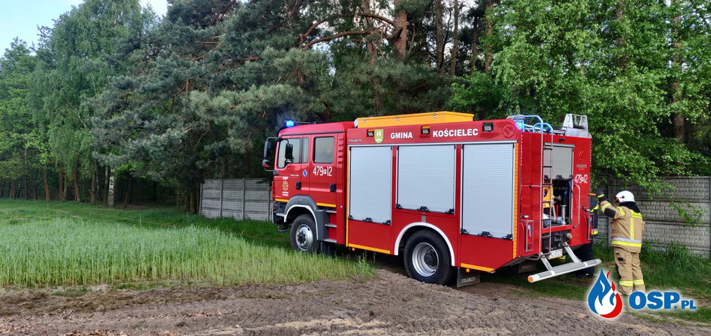Pożar poszycia leśnego w Ruszkowie! Wzorowe zachowanie mieszkańca! OSP Ochotnicza Straż Pożarna