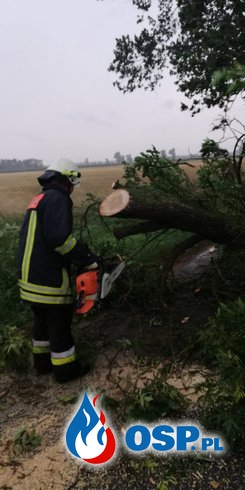 Złamany konar drzewa zablokował drogę OSP Ochotnicza Straż Pożarna