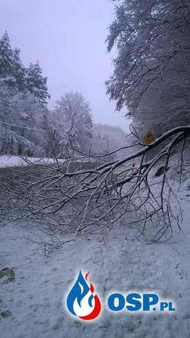 Zima odwiedziła Bieszczady - OSP Polańczyk w akcji OSP Ochotnicza Straż Pożarna