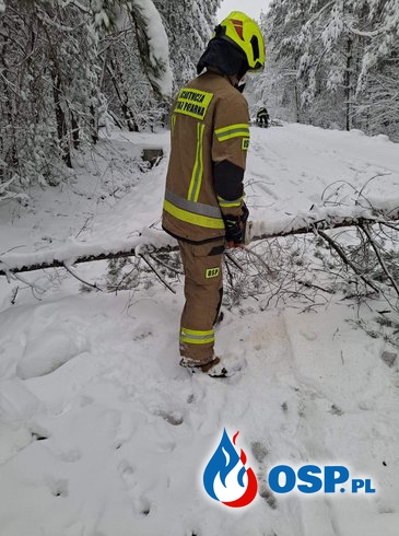 Opady śniegu OSP Ochotnicza Straż Pożarna