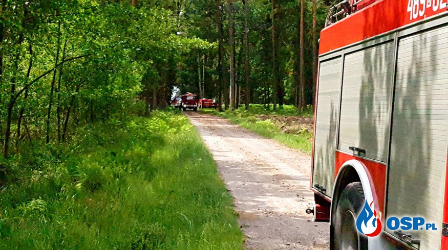 Ćwiczenia V Kompanii Gaśniczej WWO ,,PRUDNIK" w lesie w okolicy Chrzelic i Smolarni OSP Ochotnicza Straż Pożarna