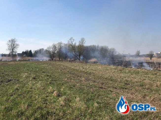 41/2019 Pożar trawy OSP Ochotnicza Straż Pożarna