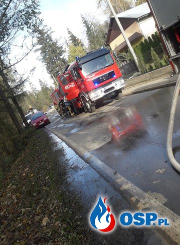 Pożar auta w Sieniawie. Mimo szybkiej akcji strażaków pojazd spłonął. OSP Ochotnicza Straż Pożarna