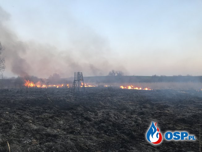 67-68 Dwa pożary traw przy Kaliskiej OSP Ochotnicza Straż Pożarna