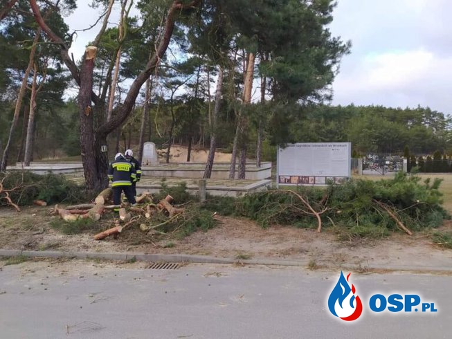 Wronki – drzewo na drodze OSP Ochotnicza Straż Pożarna