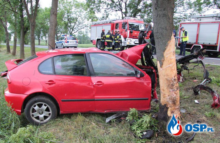 23-letnia kobieta wbiła się seatem w drzewo. Zginęła na miejscu. OSP Ochotnicza Straż Pożarna