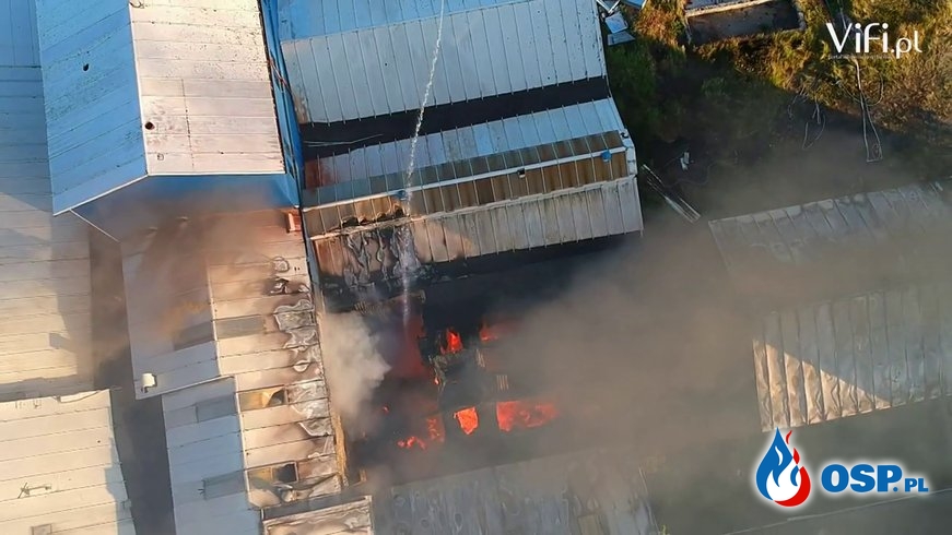 Około 150 strażaków walczyło z pożarem na terenie byłej cukrowni w Śląskiem OSP Ochotnicza Straż Pożarna