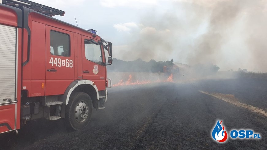 Pożar ścierniska w Mołstowie (pow. Gryfice) OSP Ochotnicza Straż Pożarna