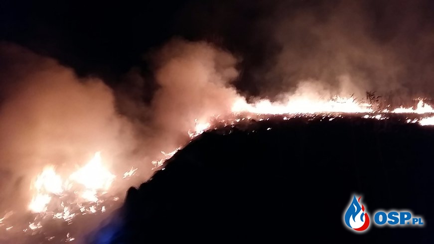Pożar trawy w Biertowicach. OSP Ochotnicza Straż Pożarna