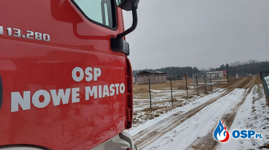 Uwolnienie zwierzęcia OSP Ochotnicza Straż Pożarna