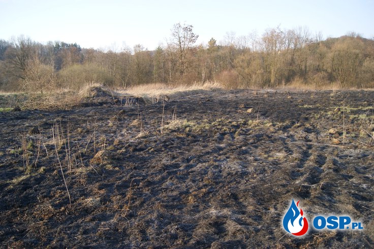 Pożar trawy w Biertowicach OSP Ochotnicza Straż Pożarna