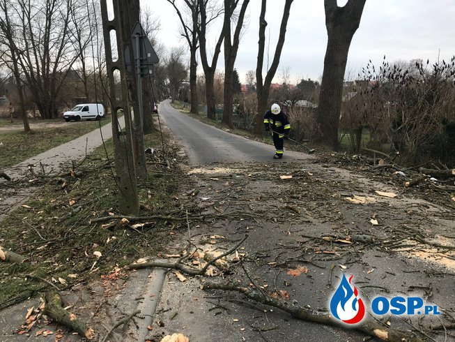 15/2021 Powalone drzewo zablokowało drogę OSP Ochotnicza Straż Pożarna