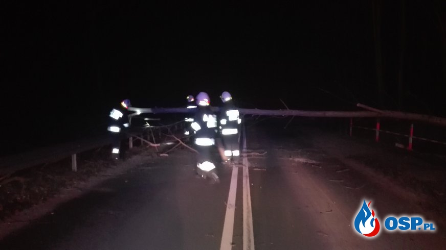 Struga-powalone drzewo na drogę 24.02.2017 OSP Ochotnicza Straż Pożarna