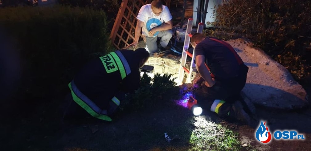 Strażacy reanimowali kota, który wpadł do studni OSP Ochotnicza Straż Pożarna