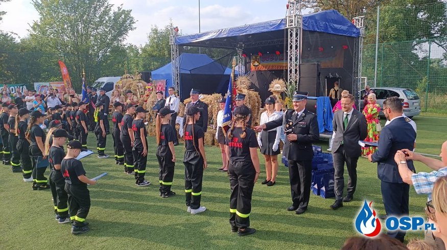 Pasowanie członków Młodzieżowych Drużyn Pożarniczych OSP Ochotnicza Straż Pożarna