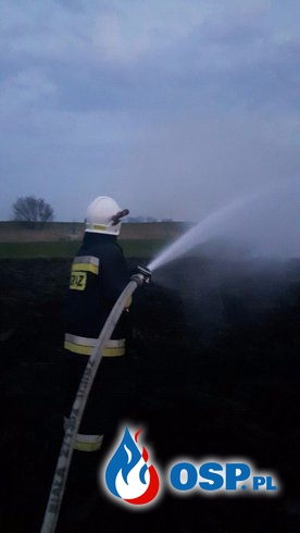 Pożar suchej trawy w Otokach OSP Ochotnicza Straż Pożarna