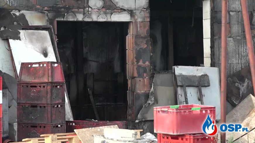 Pożar zakładu mięsnego w Wielkopolsce. Poparzony właściciel trafił do szpitala. OSP Ochotnicza Straż Pożarna