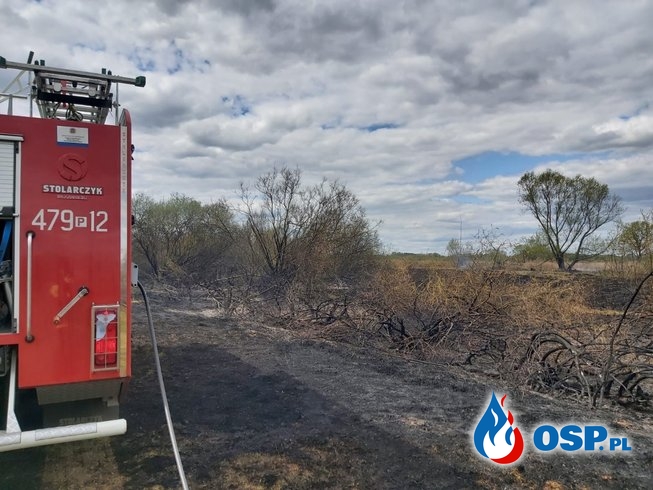 Pożar suchej trawy i krzaków w Kościelcu OSP Ochotnicza Straż Pożarna