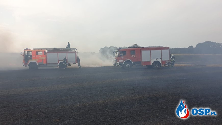 Pożar ścierniska w Mołstowie (pow. Gryfice) OSP Ochotnicza Straż Pożarna
