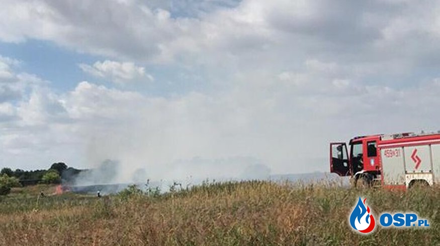 Pożar torfowiska w miejscowości Bara OSP Ochotnicza Straż Pożarna