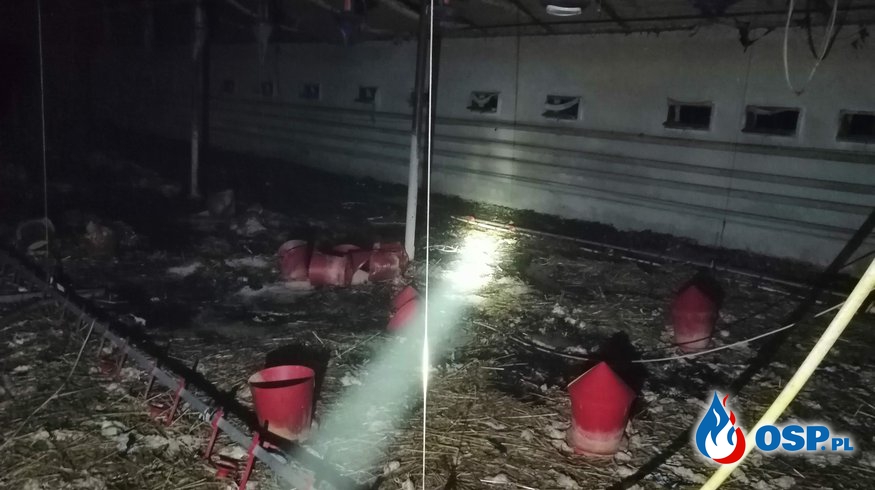 Pożar kurnika w miejscowości Samborowo OSP Ochotnicza Straż Pożarna