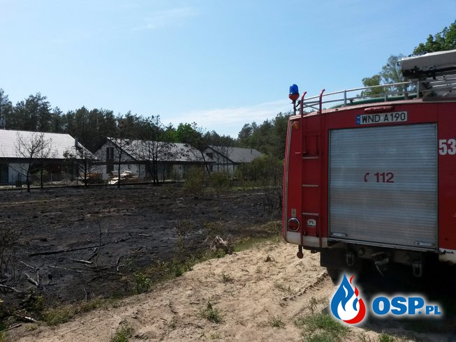 Pożar zarośli i kolizja trzech samochodów osobowych OSP Ochotnicza Straż Pożarna