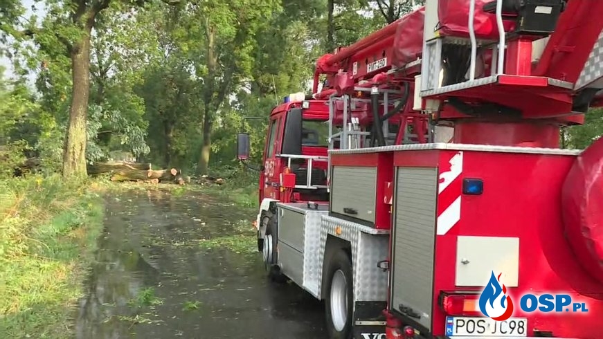 Drzewo zatarasowało dojazd strażakom. Nawałnice nad Wielkopolską. OSP Ochotnicza Straż Pożarna