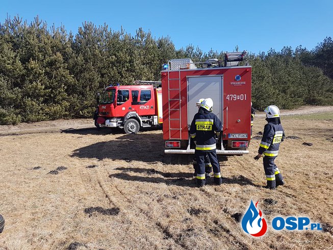 Pożar trawy w Żurawieńcu OSP Ochotnicza Straż Pożarna