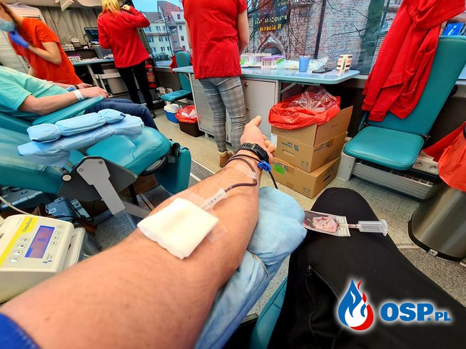 Kolejna akcja krwiodawstwa zorganizowana przez OSP Chojna OSP Ochotnicza Straż Pożarna