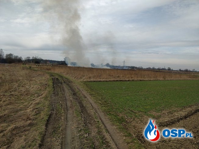 Pożar traw - Mętków OSP Ochotnicza Straż Pożarna