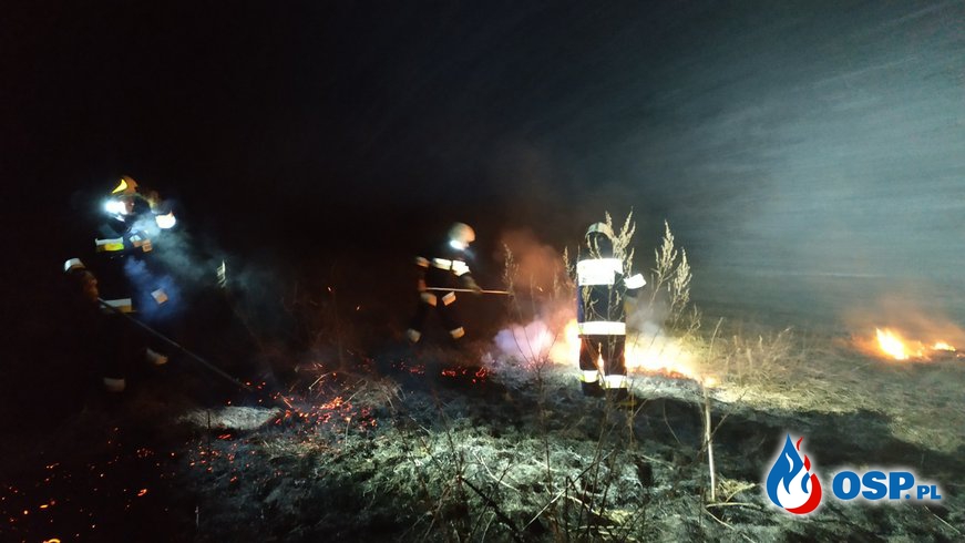 Pożar traw Makowce- Podgaj OSP Ochotnicza Straż Pożarna