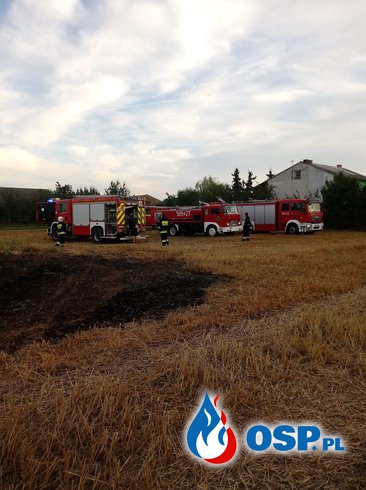 Pożar ścierniska i słomy w Podbielsku OSP Ochotnicza Straż Pożarna