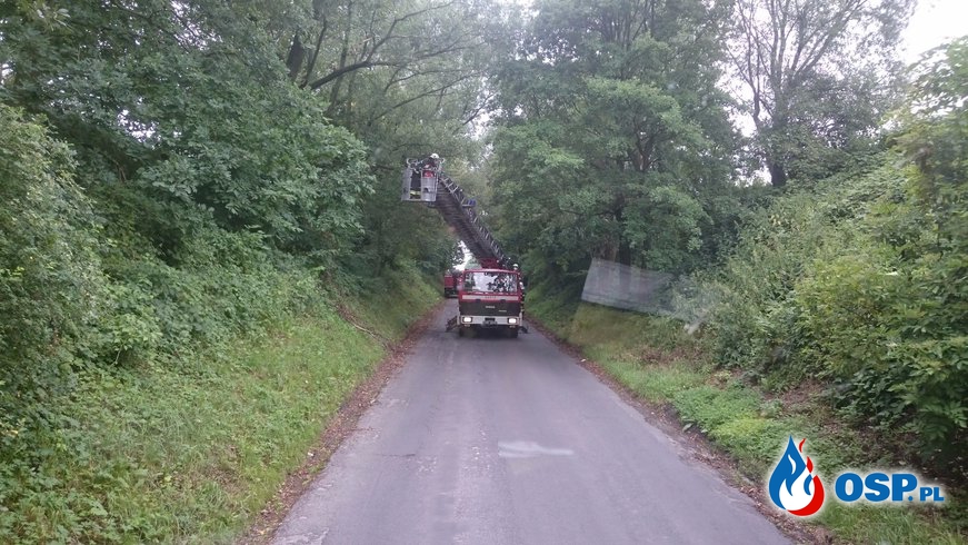 Drzewo zawisło nad drogą OSP Ochotnicza Straż Pożarna