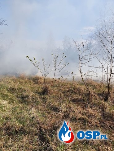 Pożar traw przy Drodze Krajowej nr.26 OSP Ochotnicza Straż Pożarna