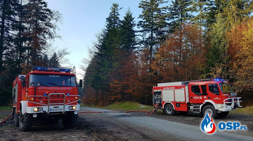 Ćwiczenia Komendanta Gminnego - pożar lasu OSP Ochotnicza Straż Pożarna