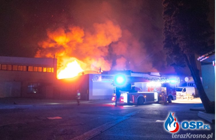 Nocny pożar hali produkcyjnej w Krośnie. W akcji ponad 60 strażaków. OSP Ochotnicza Straż Pożarna