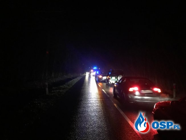 21/2020 Wypadek na DW124 - dwa auta w rowie OSP Ochotnicza Straż Pożarna