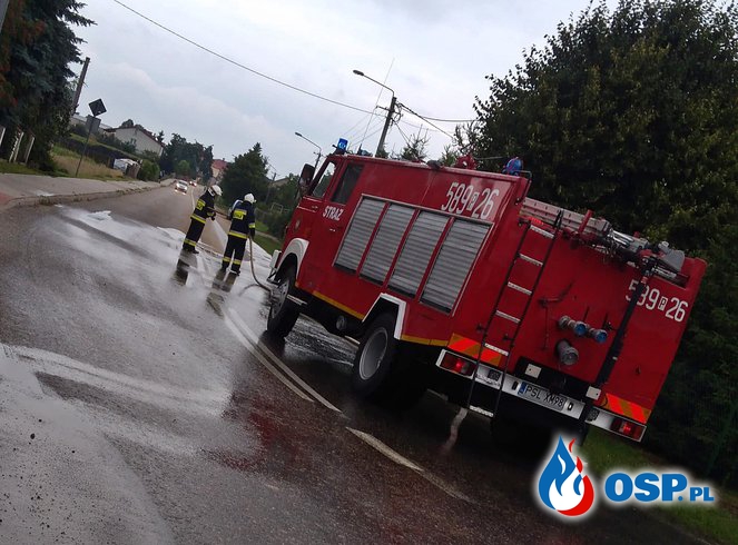 Usuwanie pomiotu kurzego z drogi Orchowo - Wólka Orchowska OSP Ochotnicza Straż Pożarna