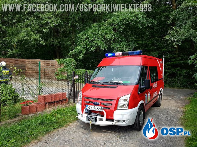 Usuwanie gniazda szerszeni i ratunek dla uwięzionego psa OSP Ochotnicza Straż Pożarna