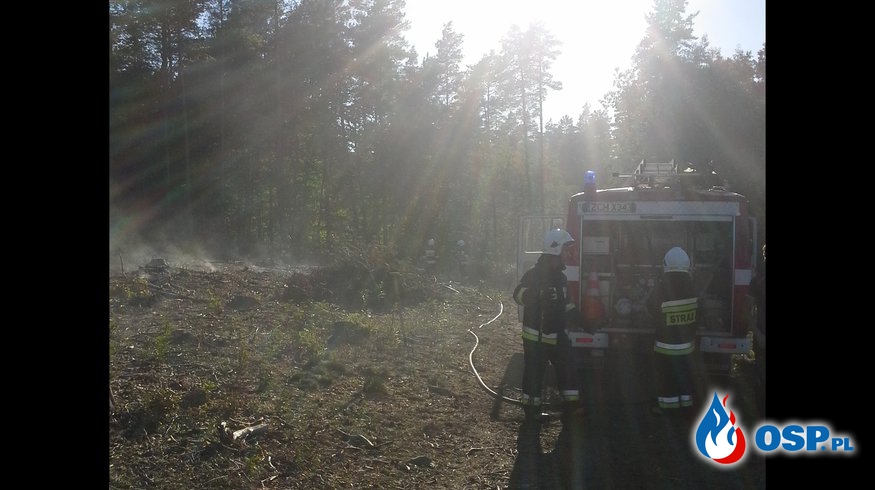 Pożar lasu 14.09.2016 OSP Ochotnicza Straż Pożarna