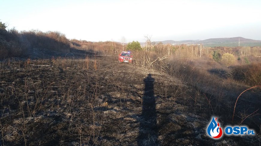 Pożar traw - ul. Poległych w Żarkach OSP Ochotnicza Straż Pożarna