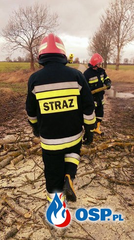 Powalone drzewo Cerkwica-Gocławice 11.01.2015r. OSP Ochotnicza Straż Pożarna