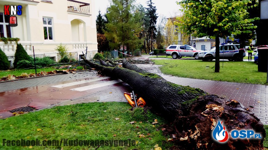 Drzewo przygniotło mężczyznę ! OSP Ochotnicza Straż Pożarna